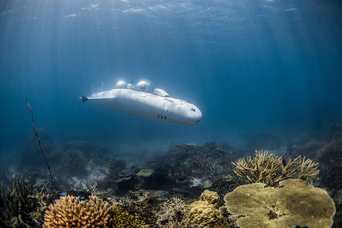  DeepFlight, super falcon S, Maldives submarine.