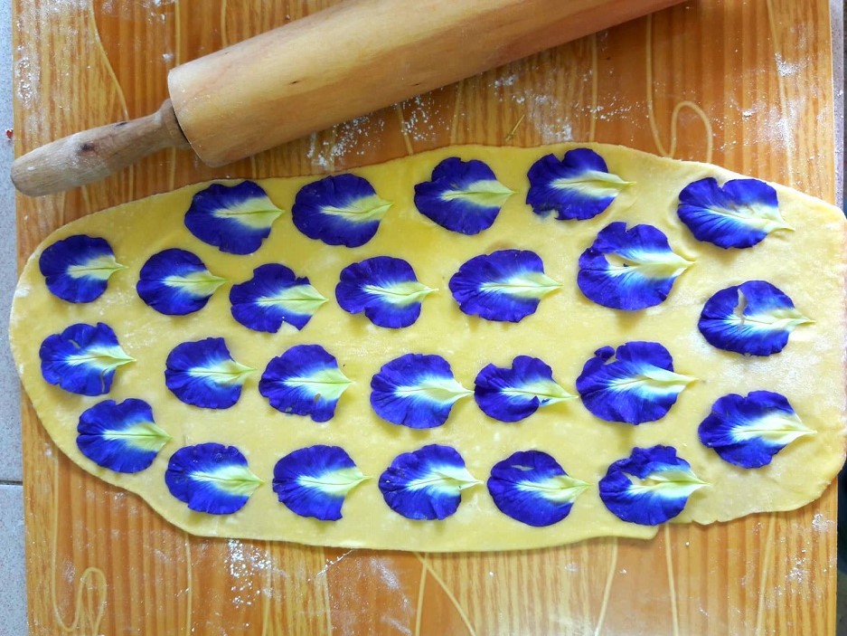 Laminating pasta with blue pea flowers,