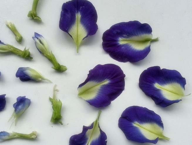 blue pea outer petals