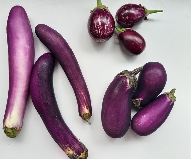purple-eggplant_april-2019-wk1