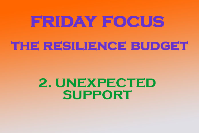 Resilience Budget