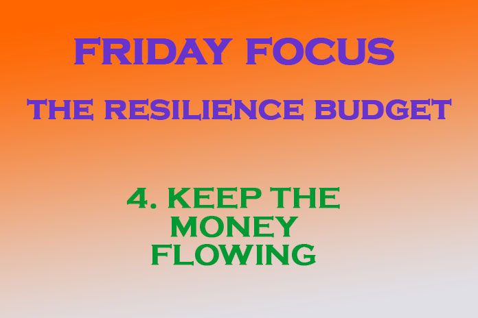 Resilience Budget,