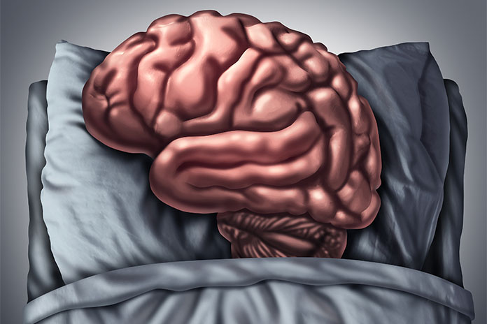 brain sleep